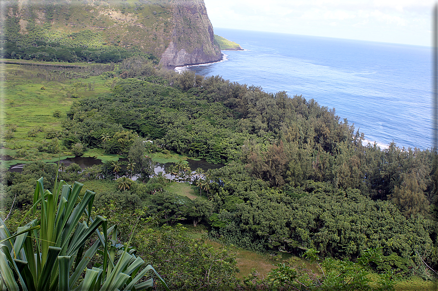 foto Costa della Big Island 